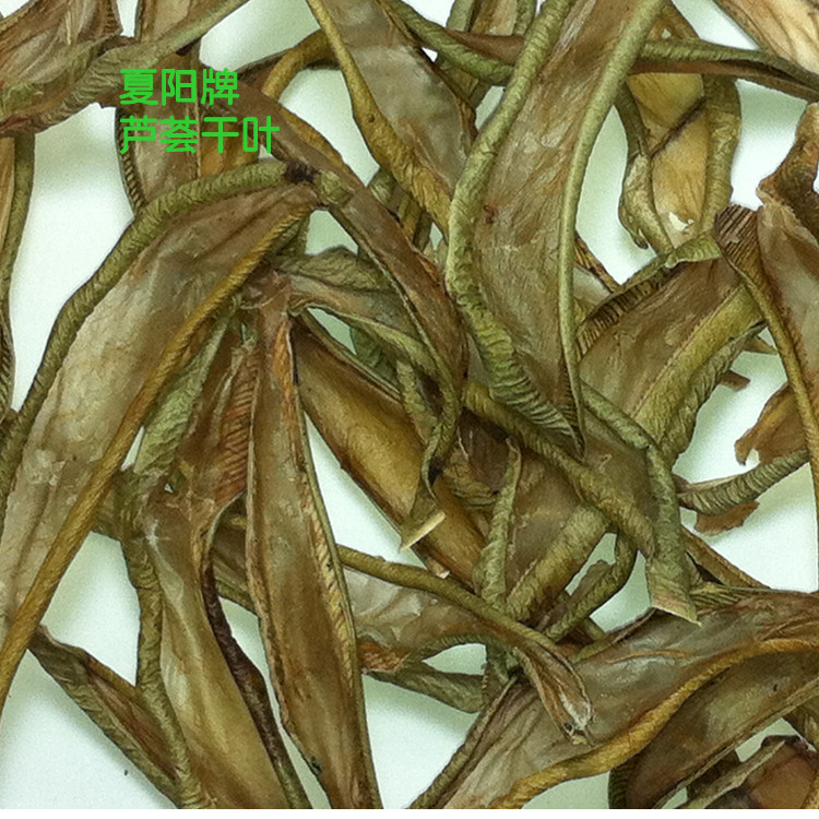 蘆薈烘干葉茶  用蘆薈干葉泡茶 蘆薈干葉花茶