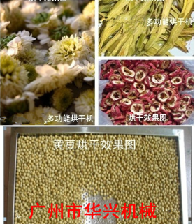 KH-75A金銀花烘干機 水果干烘干箱 智能數顯干燥箱 包郵原始圖片3