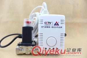 2014年燃氣bjqsd品牌-永康牌燃氣泄漏警報器誠招代理商