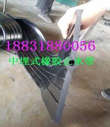 秦皇島水池用中置式橡膠止水帶原始圖片3