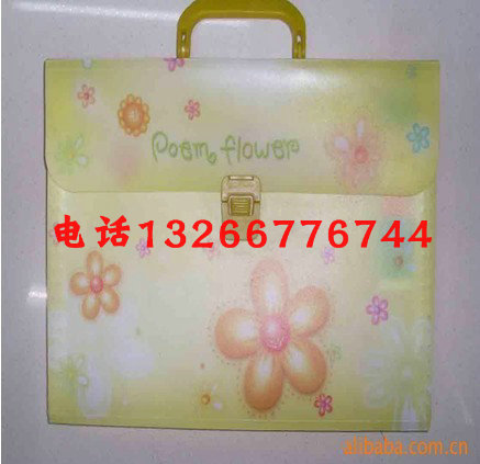 PP塑料文件盒，深圳塑料檔案盒價格