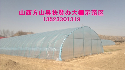 蔬菜大棚骨架機(jī)215安陽豐源新型蔬菜都