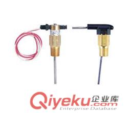V10系列Flotect小型靶式流量開關(guān)