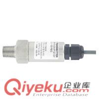 SFI可視流量指示器