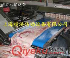 進口UT耐低溫輸送帶