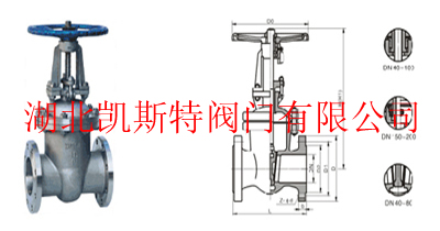 黑龍江閥門(mén)DZ40H/Y DZ41H/Y低溫鑄鋼閘閥