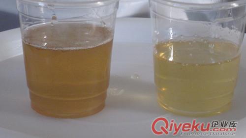 高純濃度龍眼蜜，荔枝蜜原始圖片2