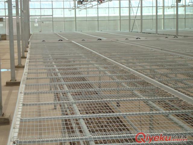 大棚苗床網(wǎng)-移動苗床網(wǎng)-鍍鋅苗床網(wǎng)-育苗網(wǎng)