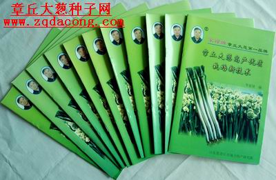 章丘大蔥種子 抗重茬抗倒抗霜 高產(chǎn)新品種 家祿三號(hào) 大蔥種子原始圖片3