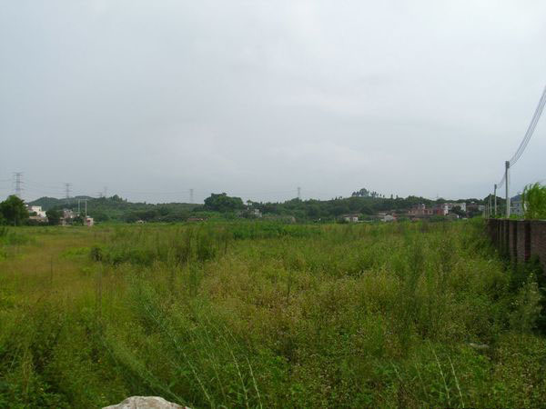 城市近郊配套完善的東莞沙田鎮(zhèn)100畝物流地皮出售