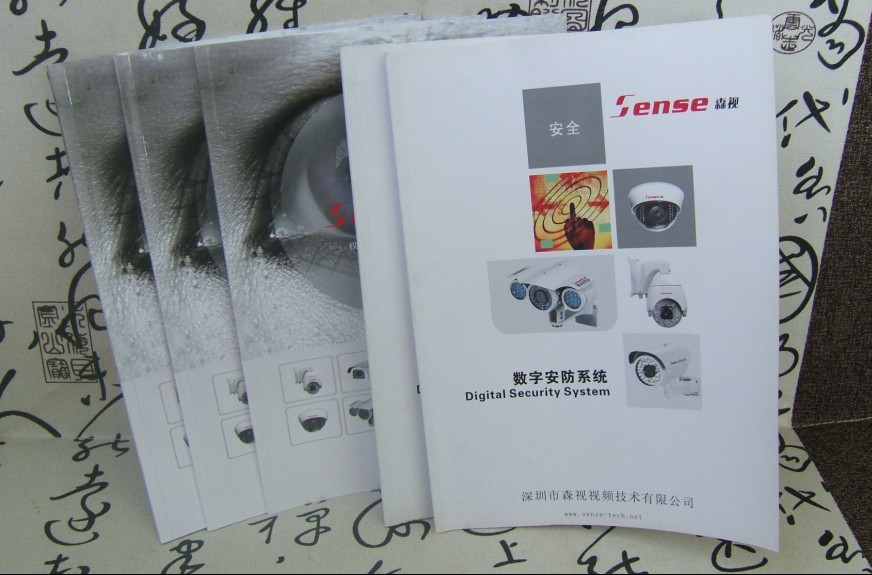 深圳企業(yè)形象VI設(shè)計(jì):logo設(shè)計(jì)/畫(huà)冊(cè)印刷/年度品牌廣告原始圖片2