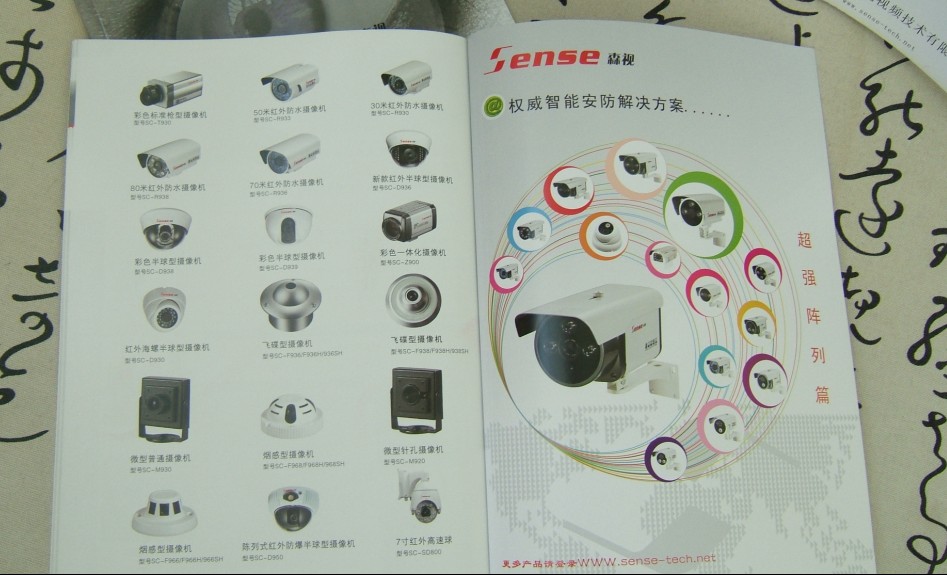深圳企業(yè)形象VI設(shè)計(jì):logo設(shè)計(jì)/畫(huà)冊(cè)印刷/年度品牌廣告原始圖片3