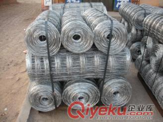 倉庫車間隔離網(wǎng)生產(chǎn)廠家價格 帶刺鐵絲隔離網(wǎng)欄價格 荷蘭網(wǎng)立柱