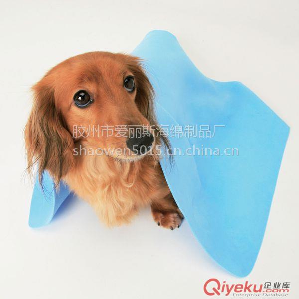 狗狗用品