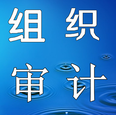 廣州非營(yíng)利組織審計(jì) 