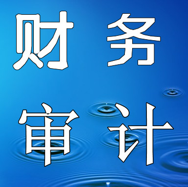 深圳財(cái)務(wù)審計(jì)哪里有