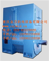 城市軌道交通牽引電機
