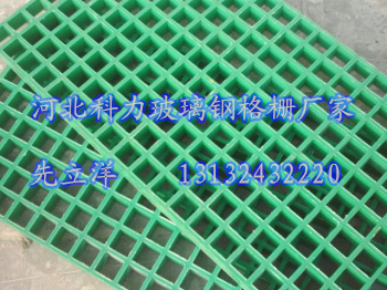 玻璃鋼模塑格柵原始圖片2