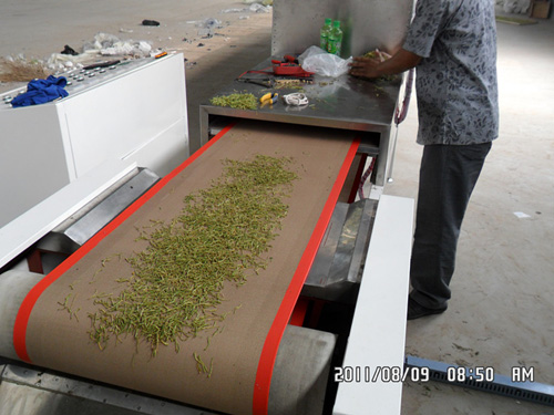 供應微波茶葉殺青機（茶葉殺青機）原始圖片3