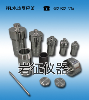 供應(yīng)上海聚四氟（PTFE)水熱反應(yīng)釜