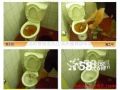 蘇州專(zhuān)業(yè)維修安裝馬桶0512-65094272原始圖片2