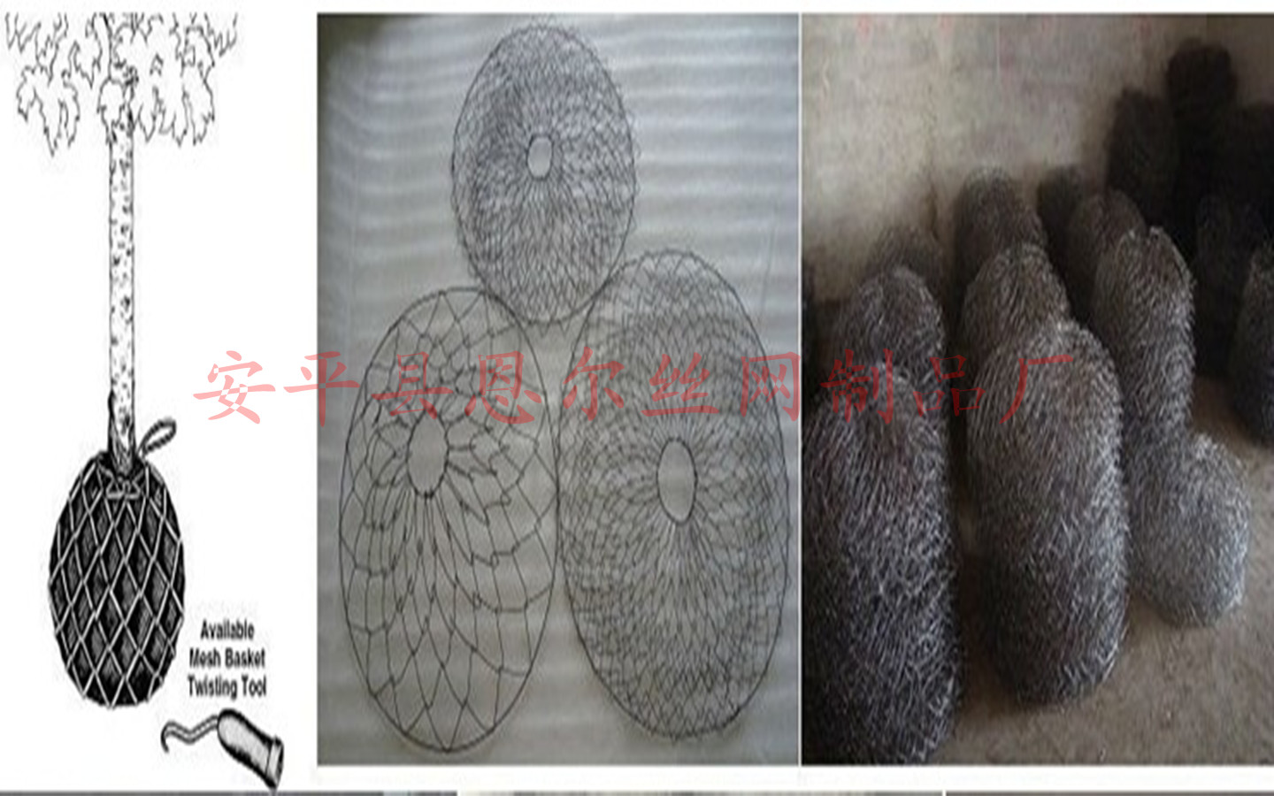 保護(hù)樹木移植根部土壤流失專用樹根網(wǎng)原始圖片2