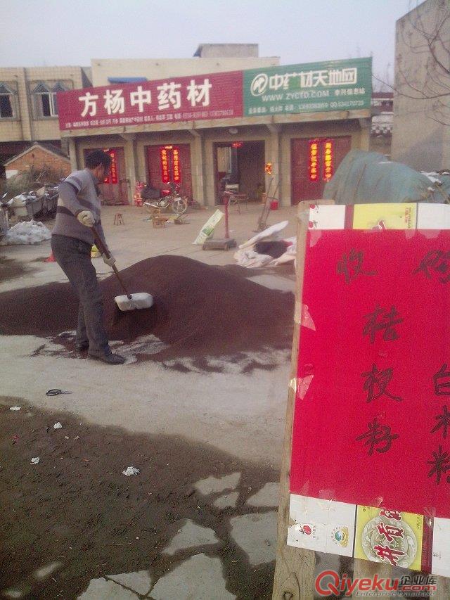 桔梗各種規(guī)格大貨，桑椹子各種規(guī)格，板藍(lán)根種子，桔梗種子 等大貨。