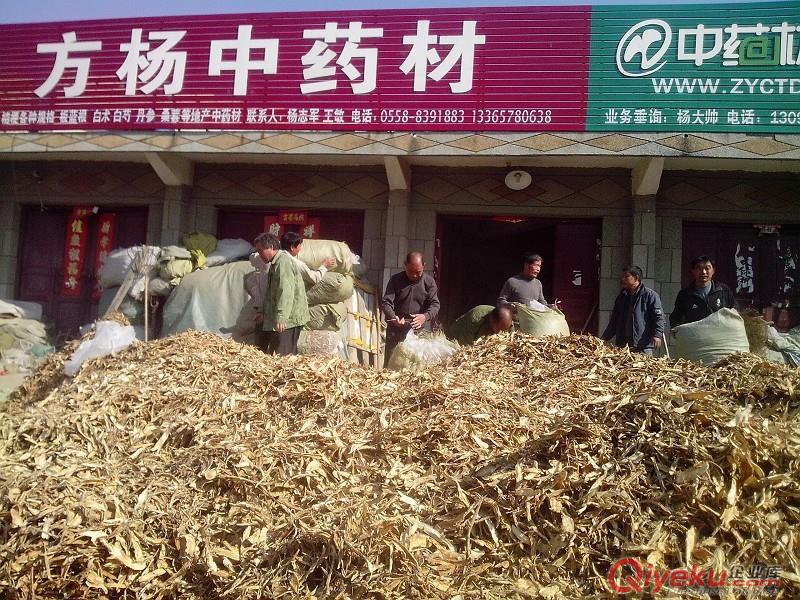 藥用干桔梗，鮮桔梗，食用桔梗，黑桑葚選裝藥廠貨，純新過篩板藍(lán)根種子，桔梗種子，白術(shù)種子，大青葉，板藍(lán)根，白術(shù)等