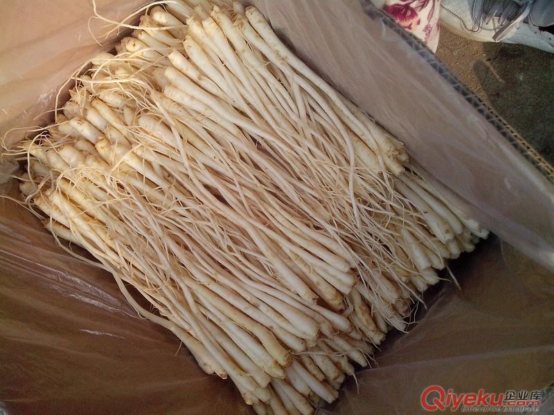 藥用干桔梗，鮮桔梗，食用桔梗，黑桑葚選裝藥廠貨，純新過篩板藍根種子，桔梗種子，白術(shù)種子，大青葉，板藍根，白術(shù)等