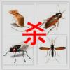 滅鼠公司.滅鼠方法.專業滅鼠.商場滅鼠.超市滅鼠.購物廣場滅鼠原始圖片2