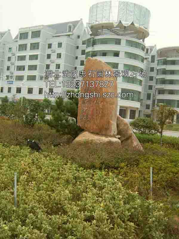 武漢風景觀石景石刻字湖北園林石賣上吸水石黃臘石原始圖片3