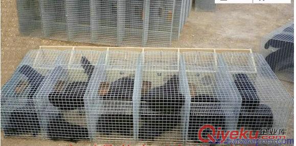 組合貂籠|熱鍍鋅不生銹|水貂籠