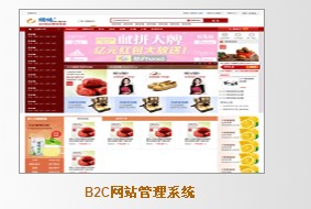 b2c商城制作