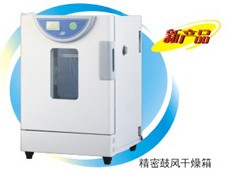 精密電熱恒溫鼓風干燥箱