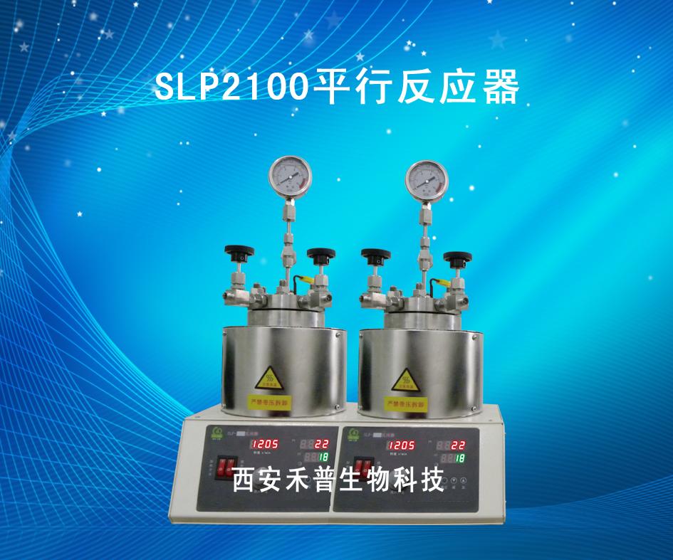 SLP2100双位平行反应器