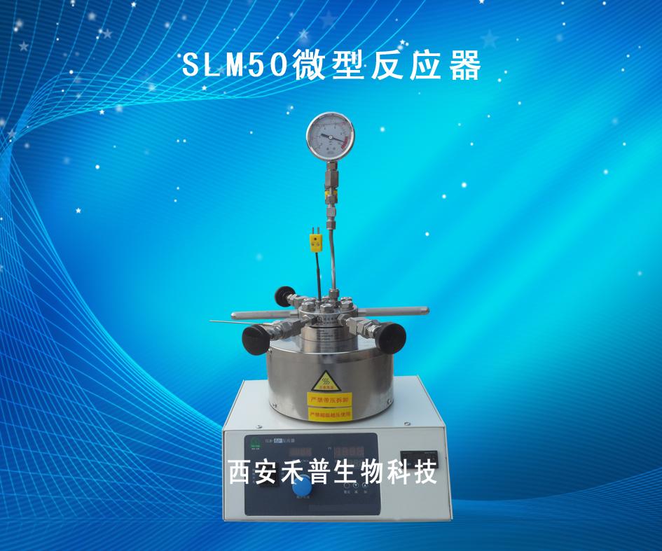 SLM50微型反应釜