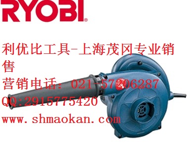 利優比（RYOBI）AK-3000 Professional 200mm|320w割草機