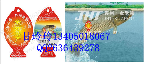 水產防偽吊牌二維碼溯源標簽-魚吊牌標志甲魚吊牌批發