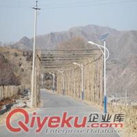 精品30WLED超高亮太陽(yáng)能路燈節(jié)能省電