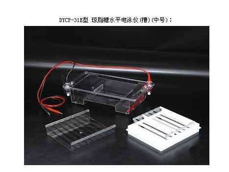 北京六一廣州代理DYCP-31C型瓊脂糖水平電泳儀槽小號