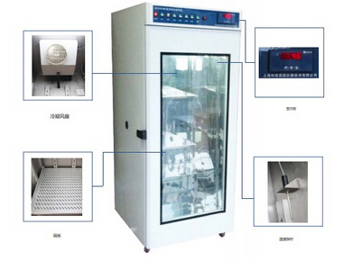 層析實驗冷柜ZX-CXG-250/ZX-CXG-800廣州總代理