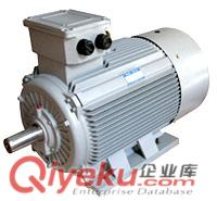 Y2系列三相異步電動機-大連第二電機廠