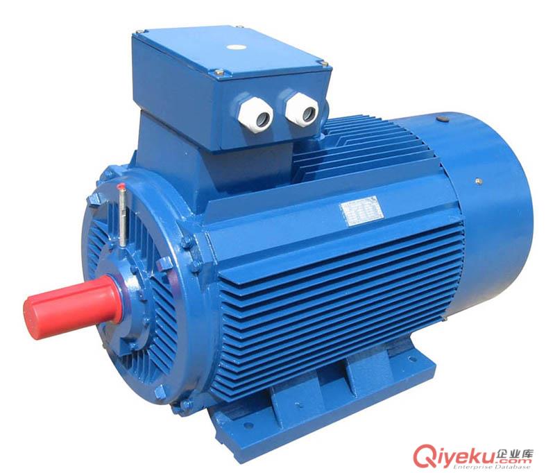 Y2系列三相異步電動(dòng)機(jī)-大連電機(jī)廠