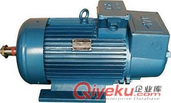 YZR繞線轉(zhuǎn)子冶金起重電機(jī)-大連電機(jī)