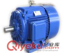 YH高轉(zhuǎn)差率電動(dòng)機(jī)-大連電機(jī)廠