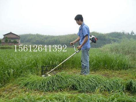 植樹(shù)用的打坑機(jī) 挖坑機(jī) 地鉆