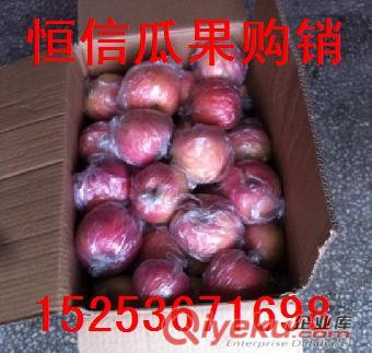 供應(yīng)濰坊紅將軍蘋果原始圖片2
