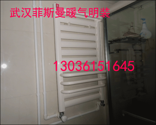 菲斯曼暖氣明裝二室一廳一衛價格,武漢菲斯曼暖氣明裝原始圖片3