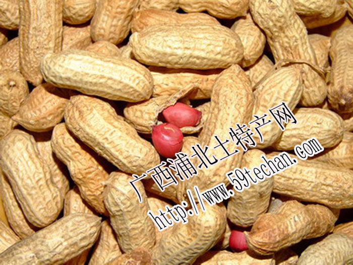 浦北土特產(chǎn)紅衣花生原始圖片2