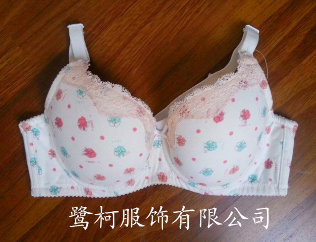 佛山內(nèi)衣廠,佛山內(nèi)衣銷售
